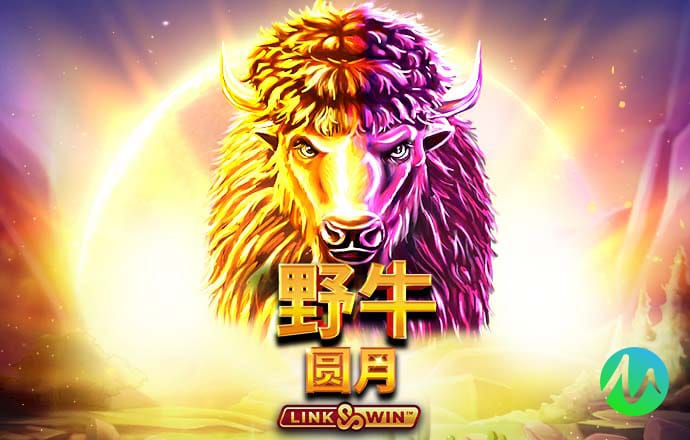 赛酷体育官网app